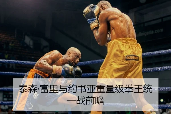 泰森·富里与约书亚重量级拳王统一战前瞻